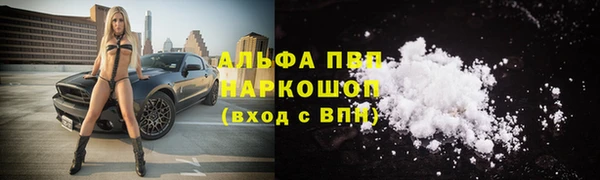 стаф Краснотурьинск