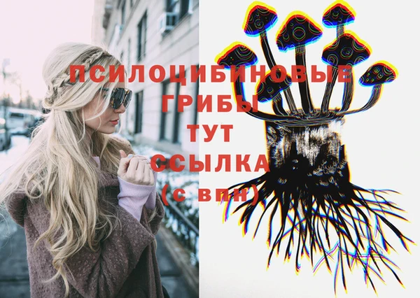 стаф Краснотурьинск